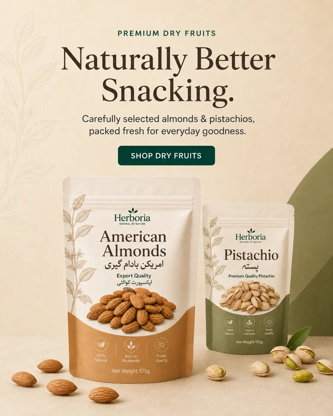Dry Fruits Herboria Mobile