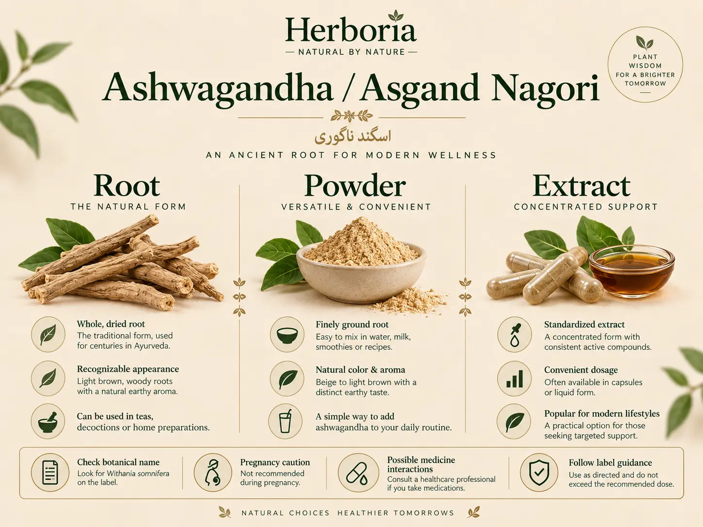 Ashwagandha / Asgand Nagori safety graphic: root vs powder vs extract; check botanical name; avoid cure claims; medicine interactions; pregnancy/breastfeeding caution; follow label/professional guidance.