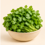 Herboria Fresh Green Coriander Whole 200g pouch with fresh coriander leaves in bowl