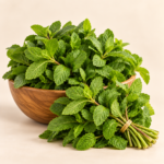 Herboria Fresh Mint Bunch Whole 100g pouch with fresh mint leaves in wooden bowl
