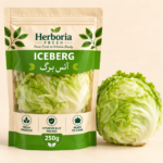 Herboria Fresh Iceberg Lettuce 250g pouch with fresh whole iceberg lettuce