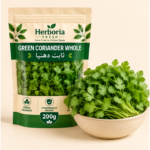 Fresh green coriander hara dhania leaves in ceramic bowl on cream background